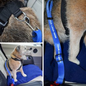 Dog Car Safety Belt on Dog