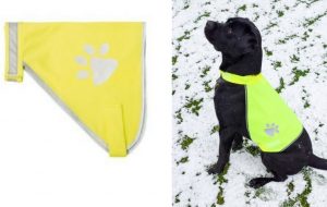 Hi-vis Waistcoat on Dog